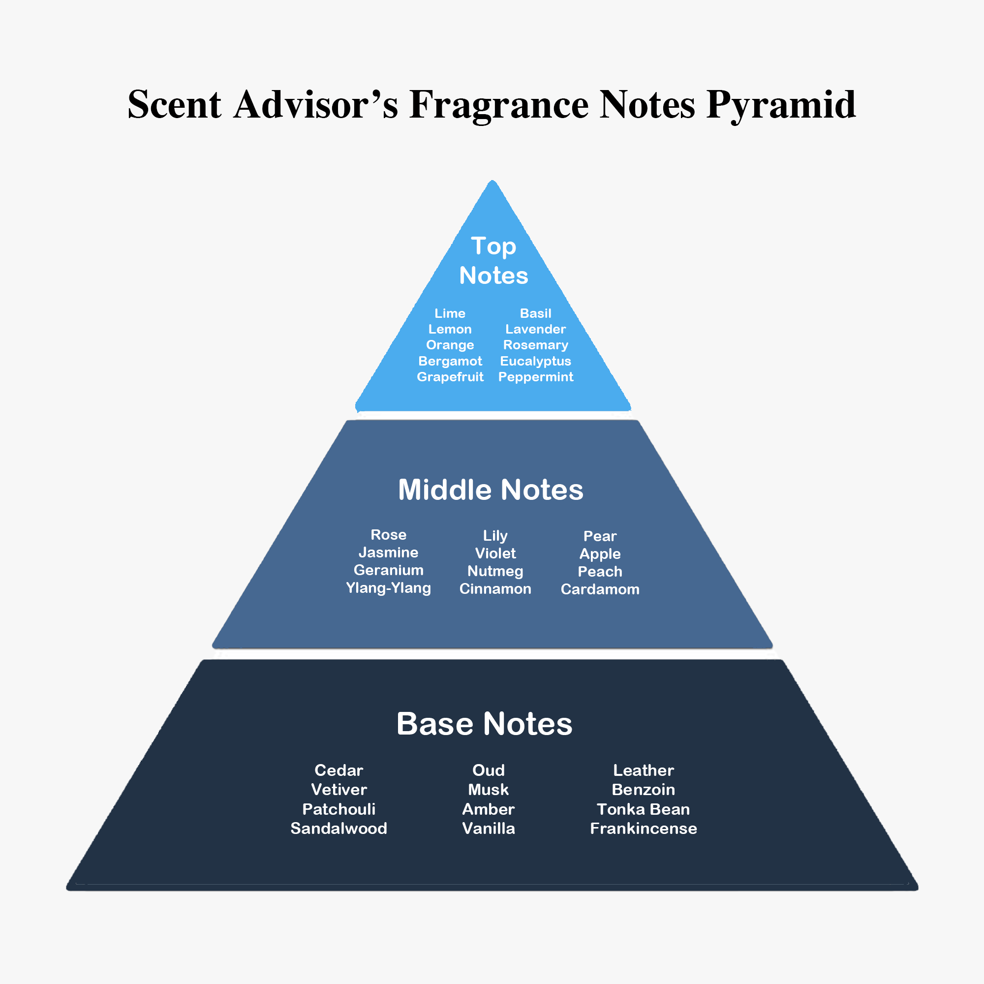 What Are Fragrance Notes? Full Guide